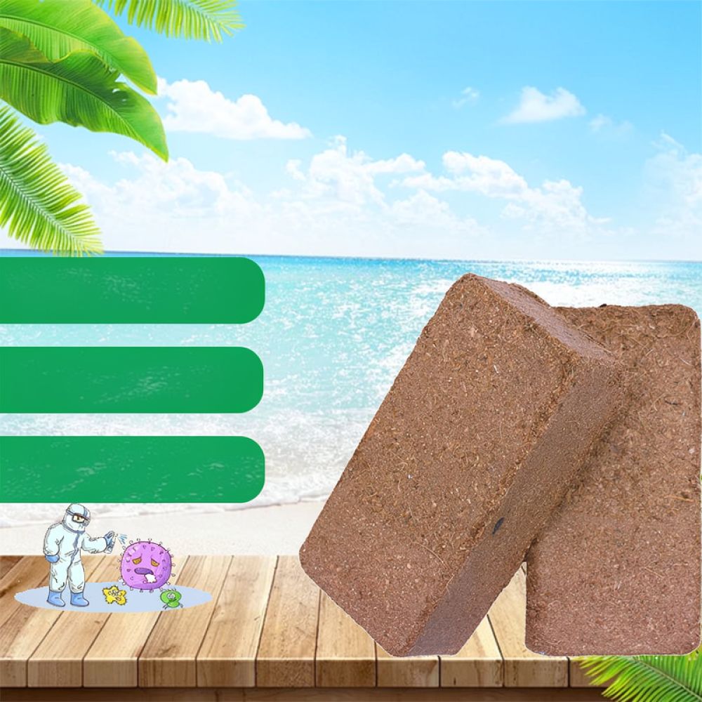 Premium Dehydrated Coconut Coi - Substrate Coconut Fiber 评论和价格