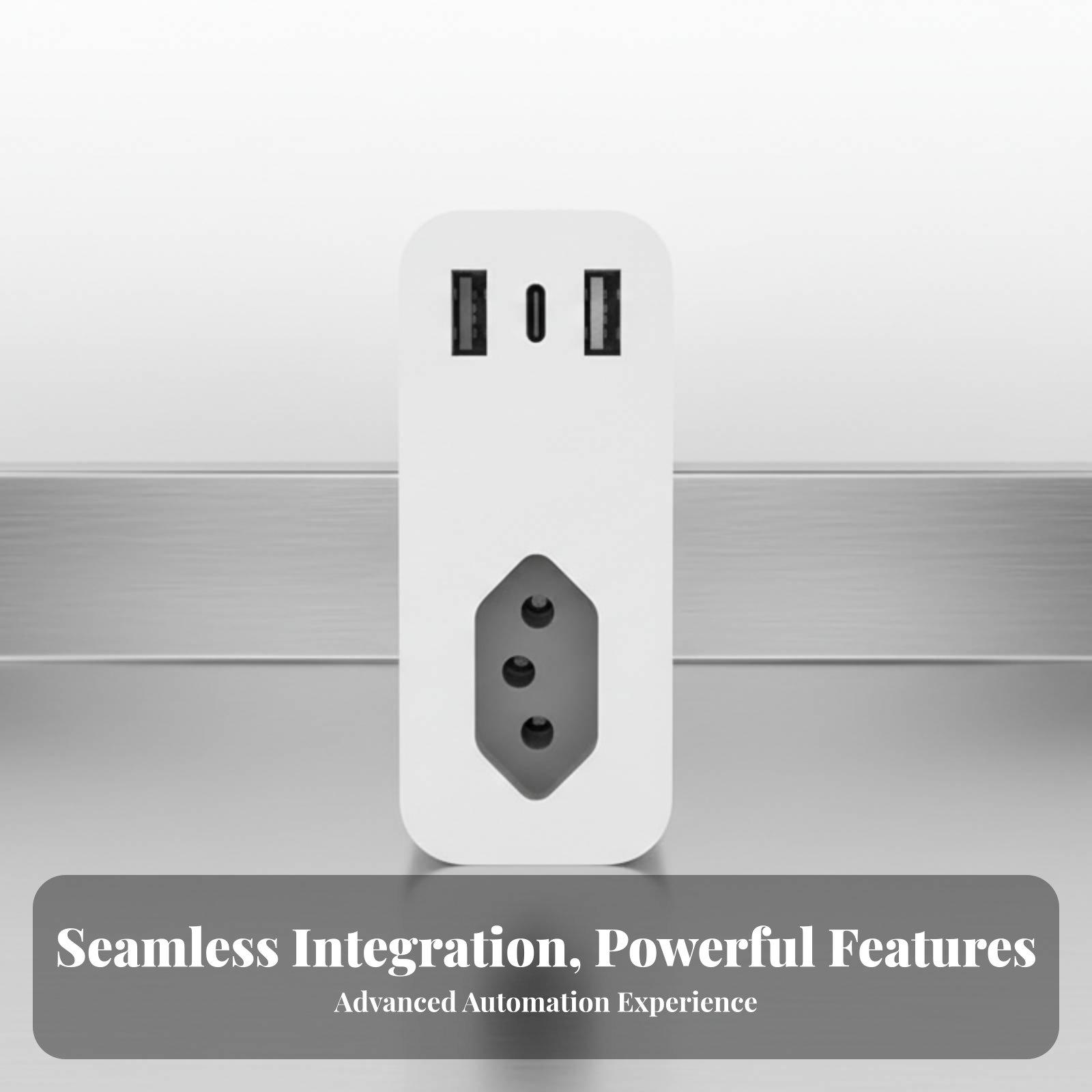 Voice Activated Smart Plug for - Timer Dual Outlet 评论和价格